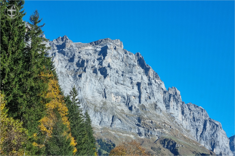 Daniela Joss - Olma - 2025