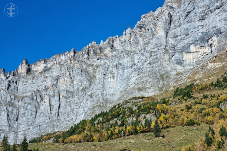 Daniela Joss - Olma - 2025