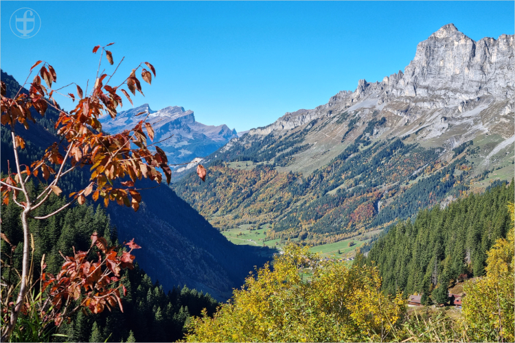 Daniela Joss - Olma - 2025