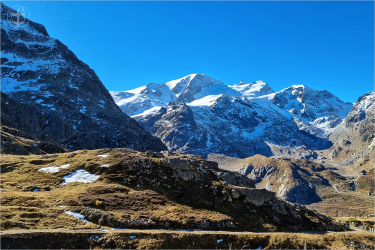 Daniela Joss - Olma - 2025