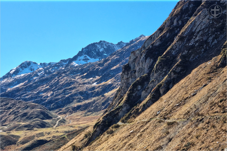 Daniela Joss - Olma - 2025