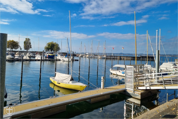 Daniela Joss - Olma - 2025