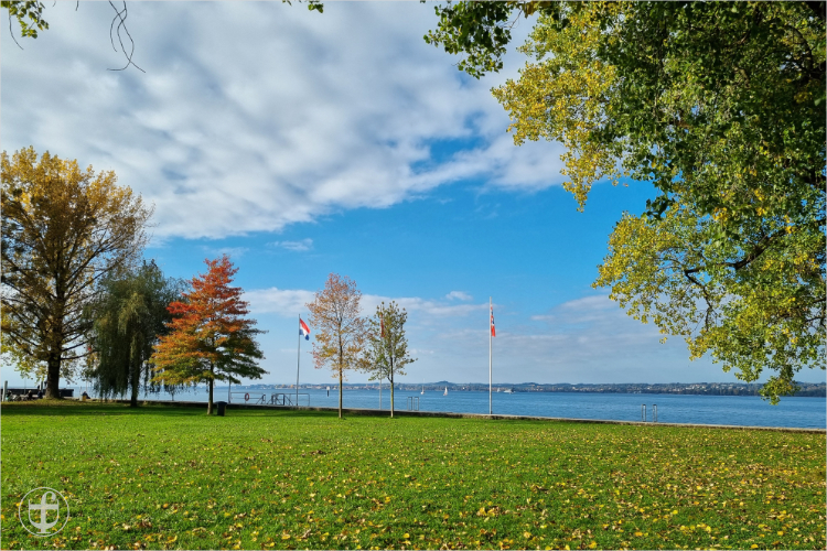 Daniela Joss - Olma - 2025