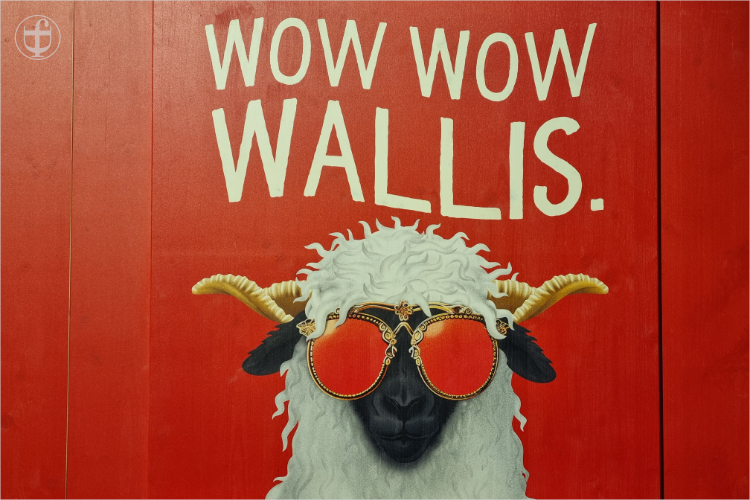 Daniela Joss - Olma - 2025