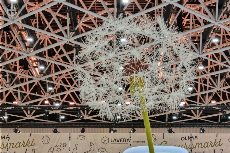 Daniela Joss - Olma - 2025