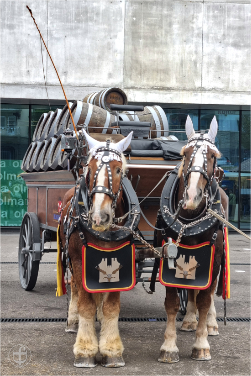 Daniela Joss - Olma - 2025