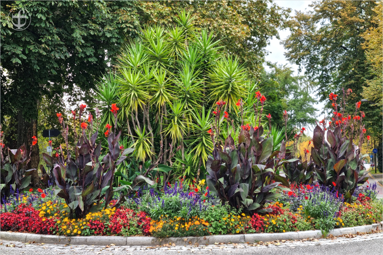 Daniela Joss - Olma - 2025