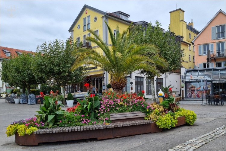 Daniela Joss - Olma - 2025