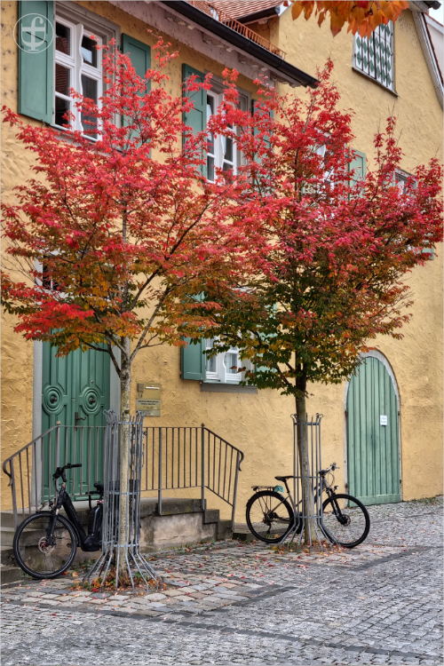 Daniela Joss - Olma - 2025