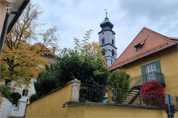 Daniela Joss - Olma - 2025