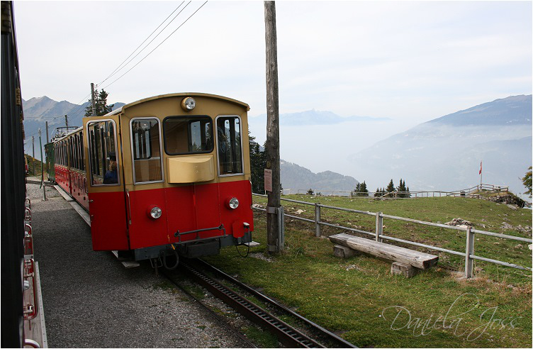 Daniela Joss - Schynige - Platte