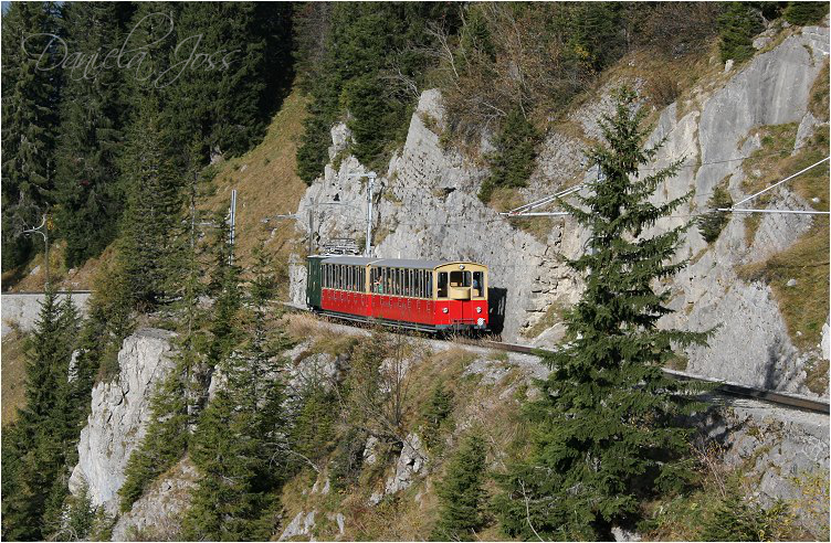 Daniela Joss - Schynige - Platte