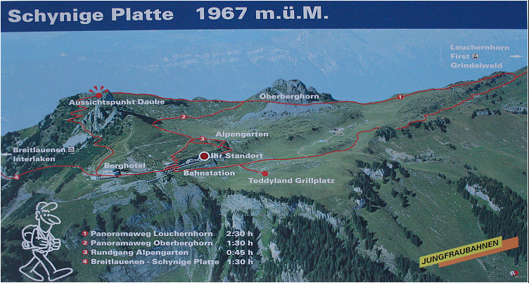 Daniela Joss - Schynige - Platte