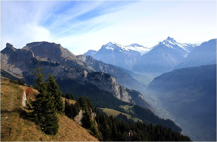 Daniela Joss - Schynige - Platte