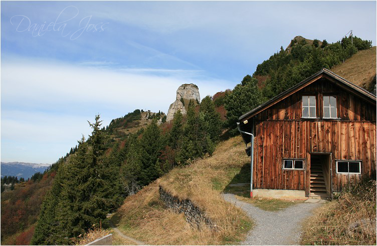 Daniela Joss - Schynige - Platte