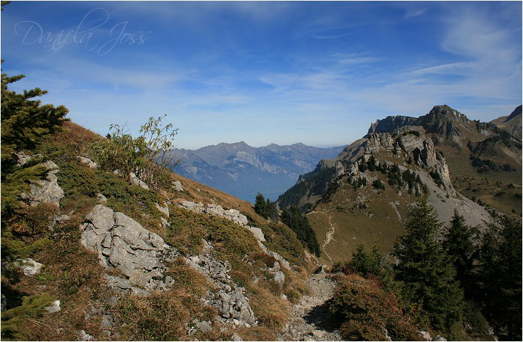 Daniela Joss - Schynige - Platte