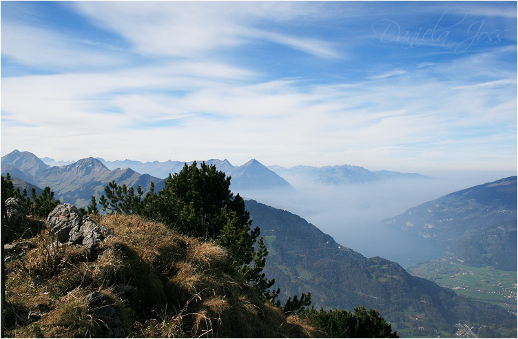 Daniela Joss - Schynige - Platte