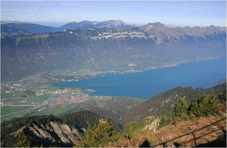 Daniela Joss - Schynige - Platte