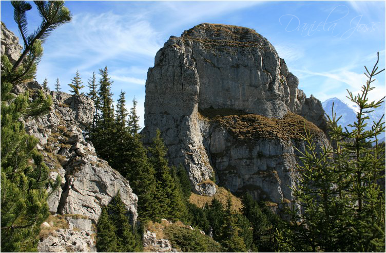 Daniela Joss - Schynige - Platte