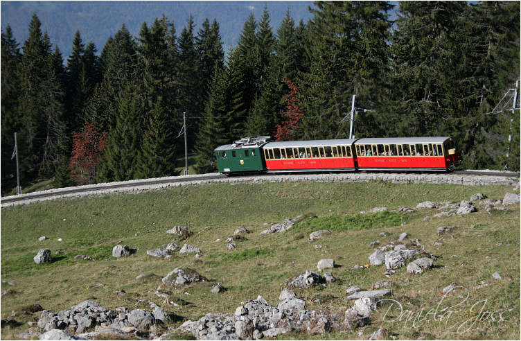 Daniela Joss - Schynige - Platte