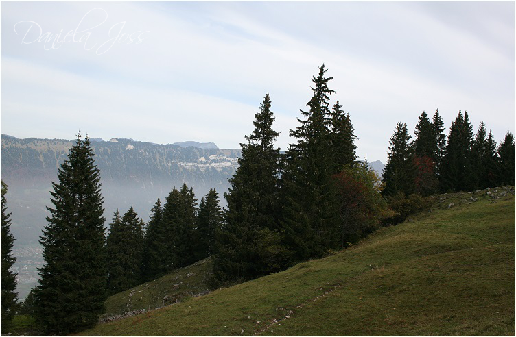 Daniela Joss - Schynige - Platte