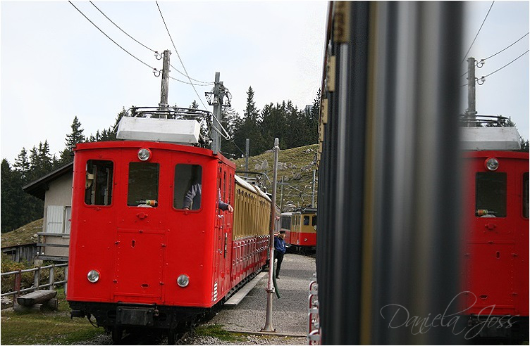 Daniela Joss - Schynige - Platte