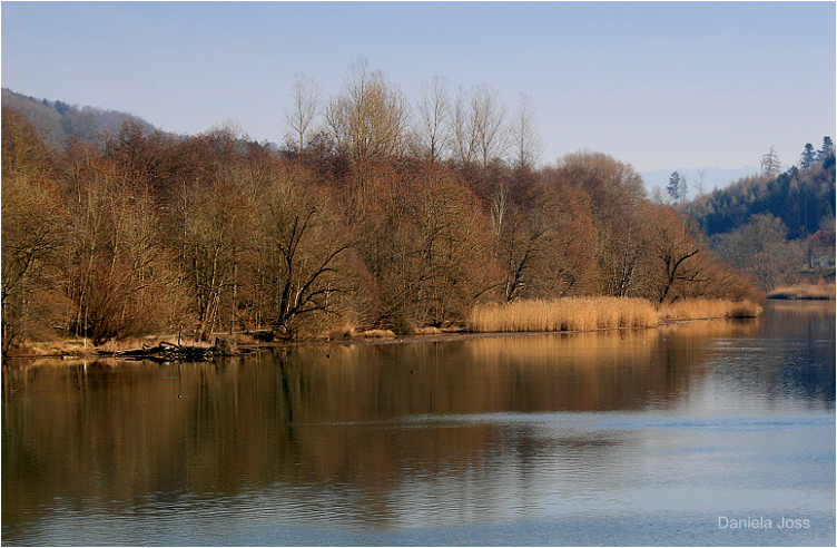 Daniela Joss - Wohlensee