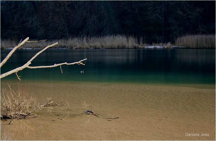 Daniela Joss - Wohlensee