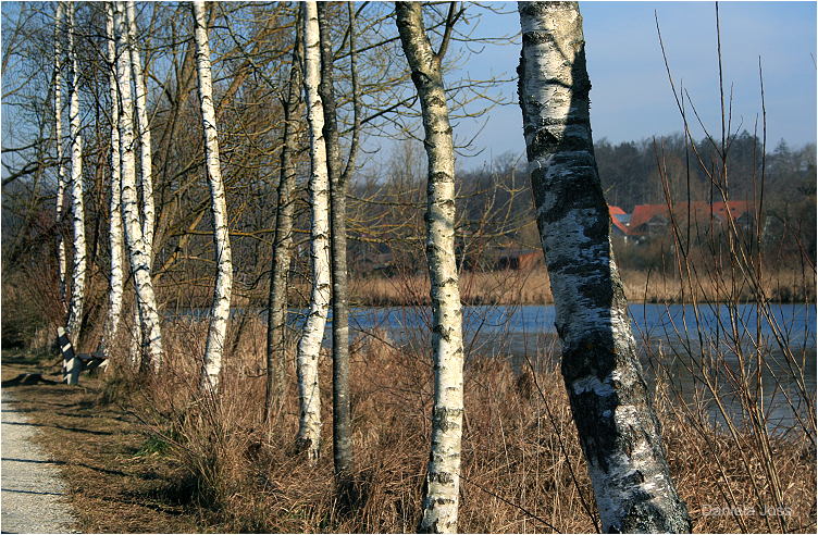 Daniela Joss - Wohlensee