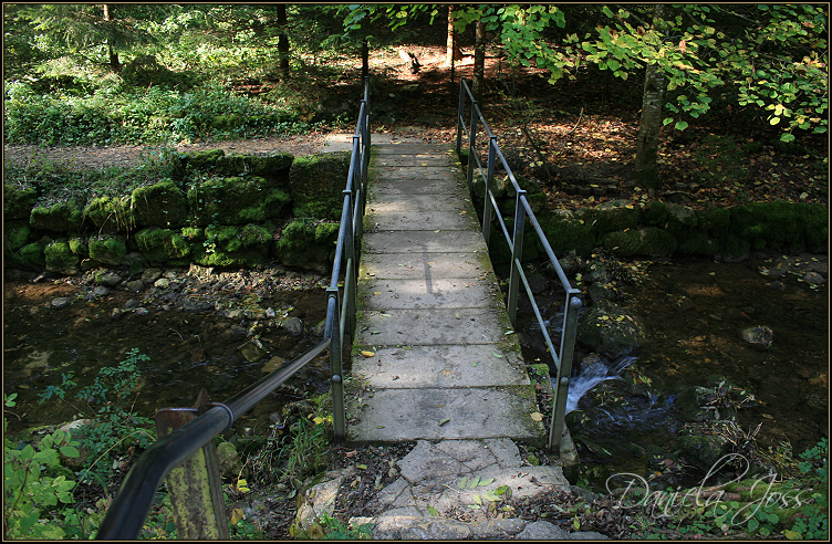 Daniela Joss - Twannbachschlucht