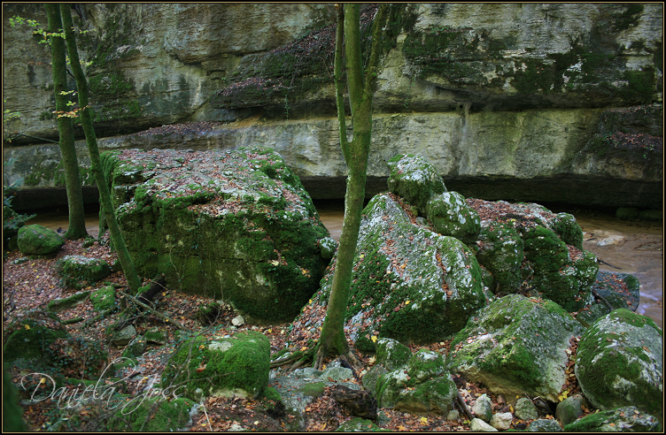 Daniela Joss - Twannbachschlucht