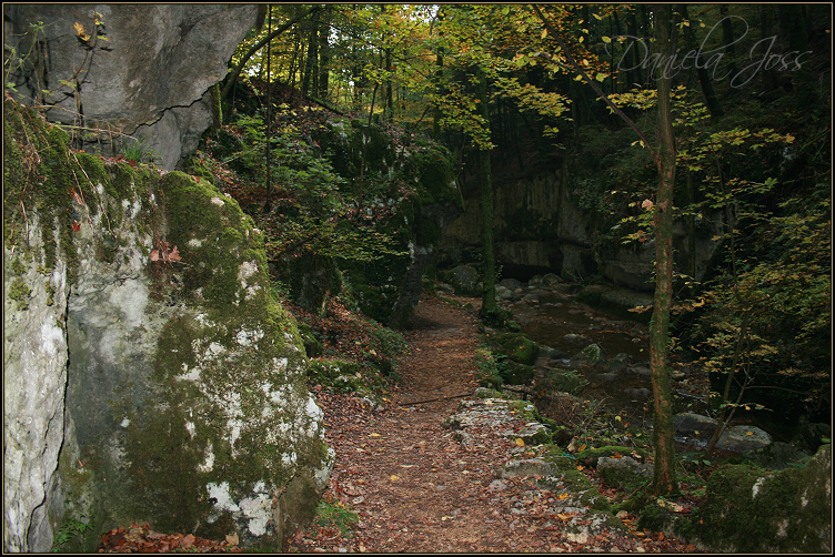 Daniela Joss - Twannbachschlucht