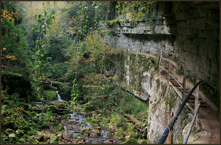 Daniela Joss - Twannbachschlucht