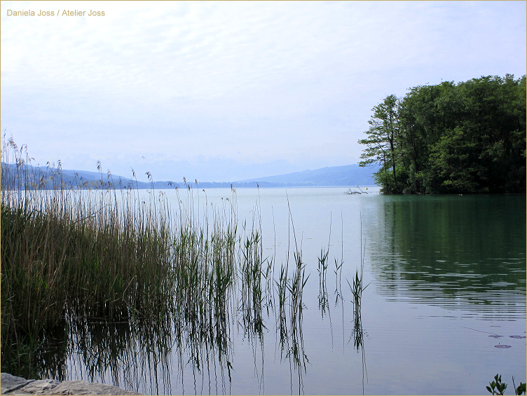 Daniela Joss - Hallwilersee