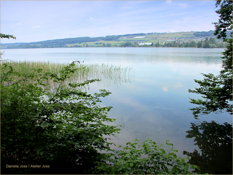 Daniela Joss - Hallwilersee