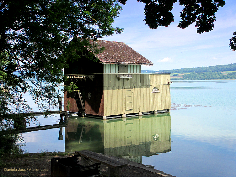 Daniela Joss - Hallwilersee