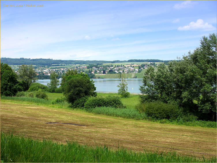 Daniela Joss - Hallwilersee