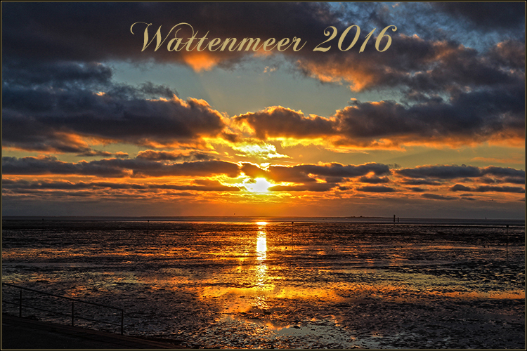 Daniela Joss Wattenmeer