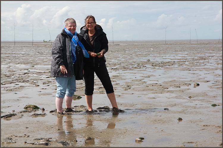 Daniela Joss Wattenmeer