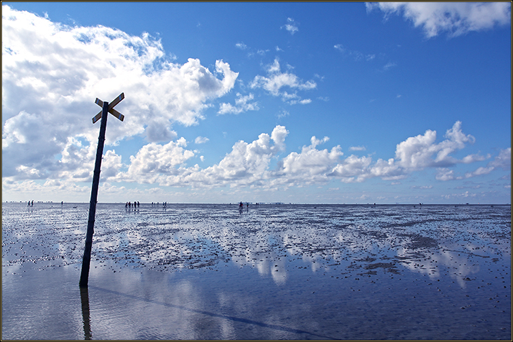 Daniela Joss Wattenmeer