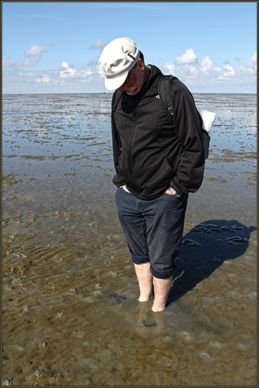 Daniela Joss Wattenmeer