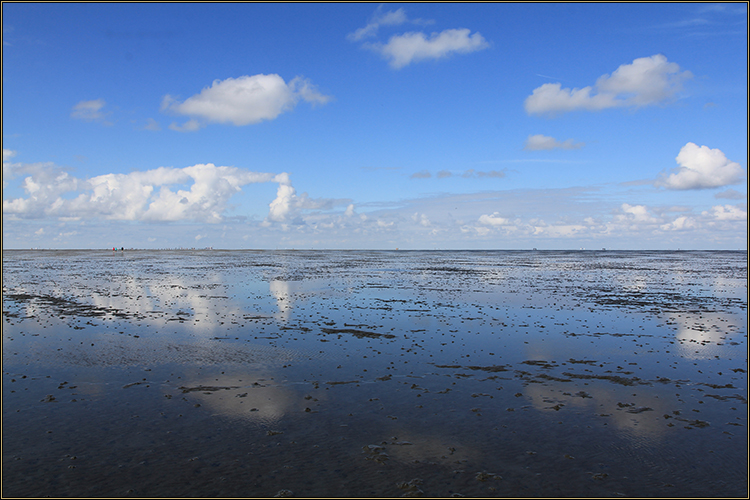 Daniela Joss Wattenmeer
