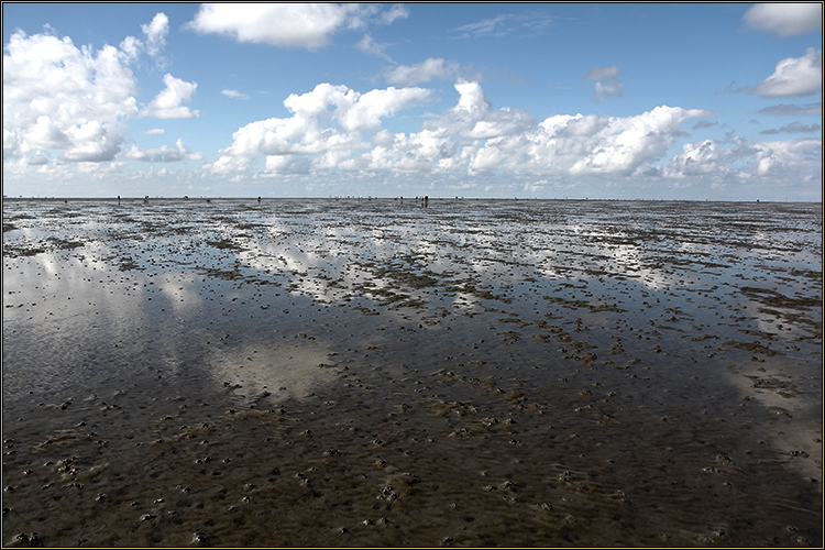 Daniela Joss Wattenmeer