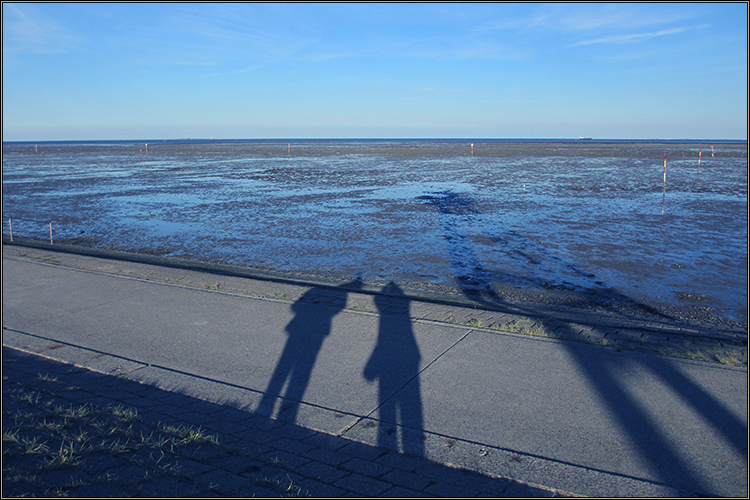Daniela Joss Wattenmeer
