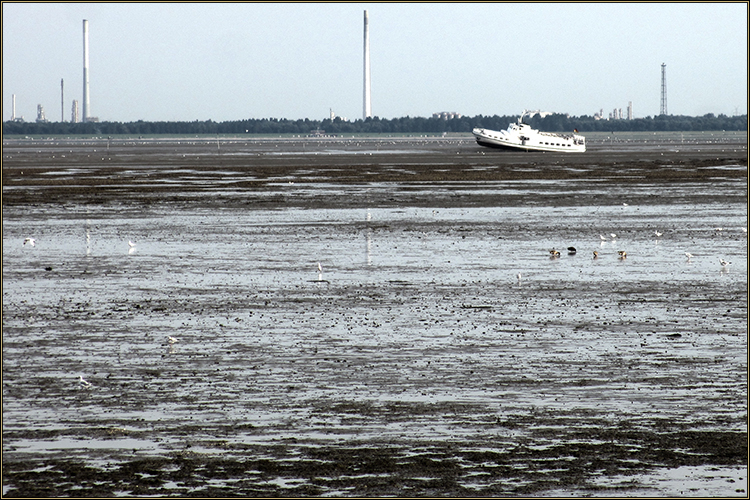 Daniela Joss Wattenmeer