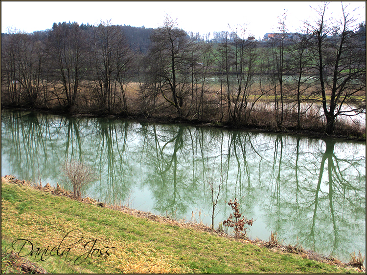 Daniela Joss - Wangen - Aarwangen