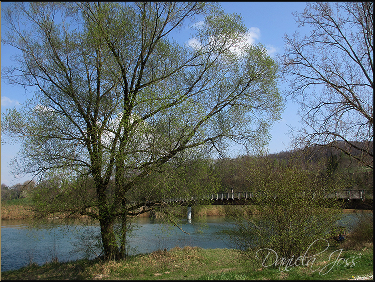 Daniela Joss - Niederried - Aarberg