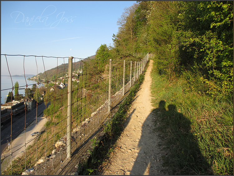 Daniela Joss, Rebenweg