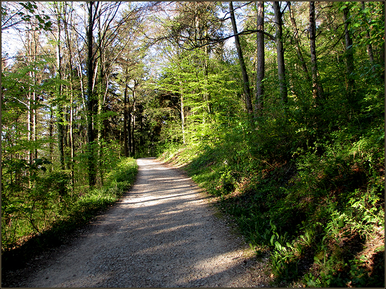 Daniela Joss, Rebenweg