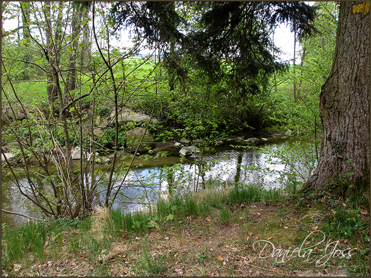 Daniela Joss Canal d'Entreroches